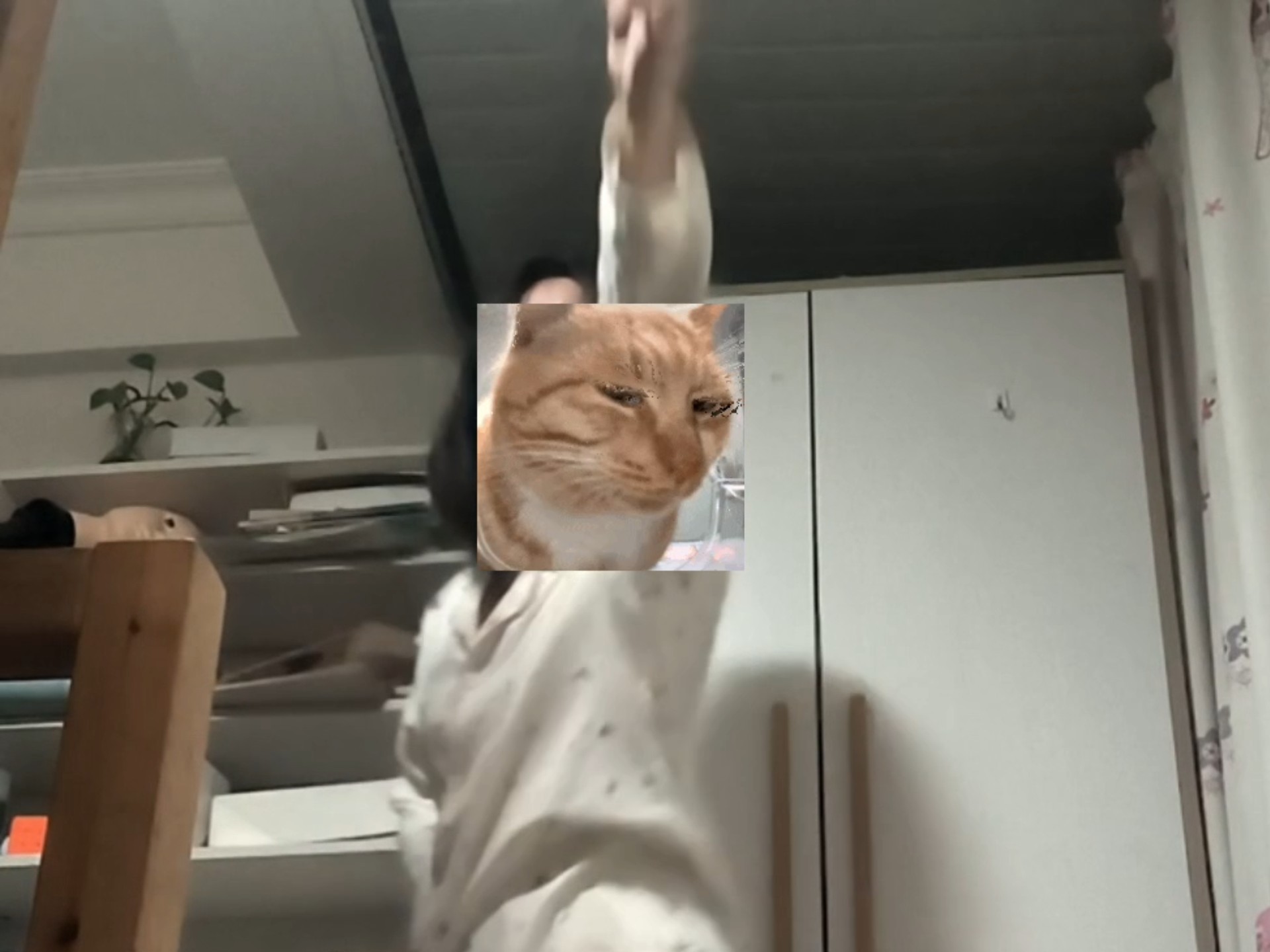 孩子大半夜看了黑塔利亚非要露一手