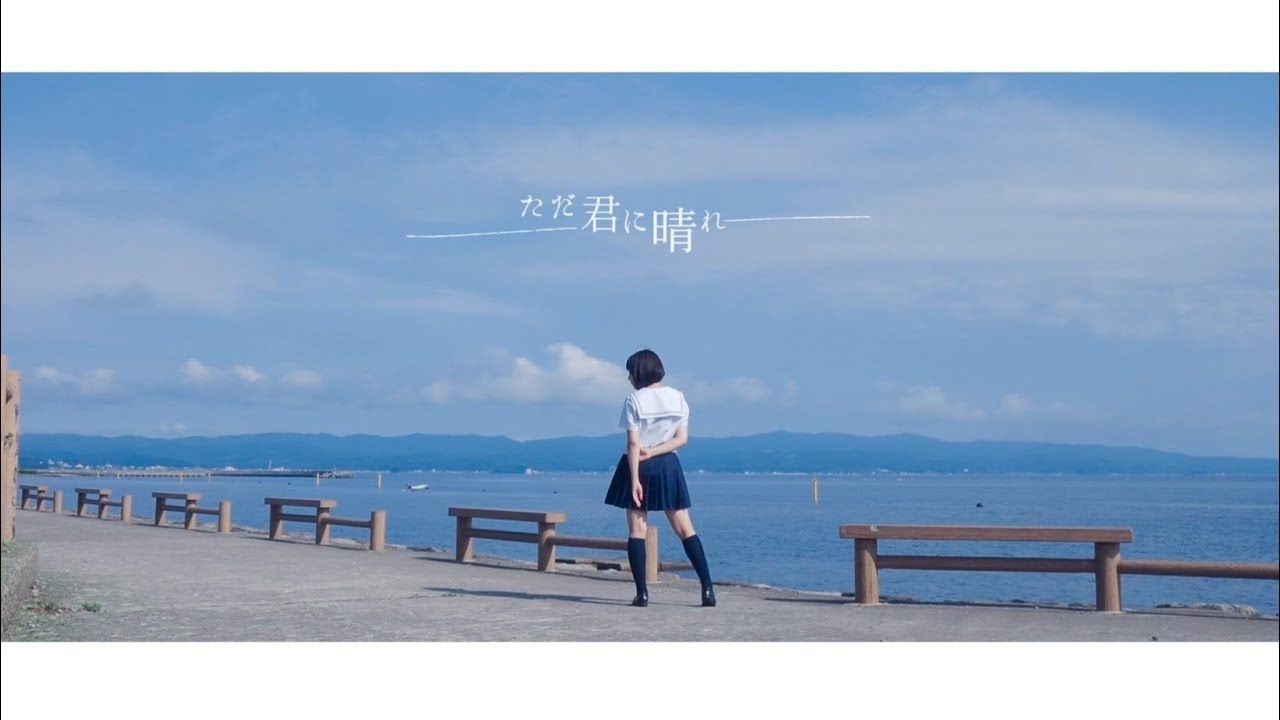 【ニッキ】ただ君に晴れ _  ヨルシカ - もう一度踊ってみた@