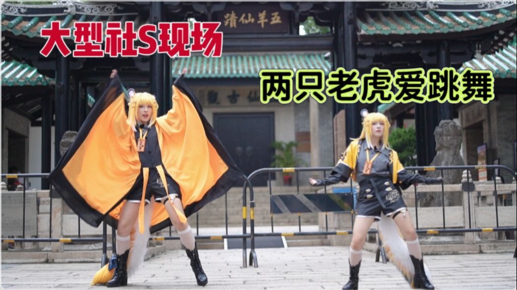 【橘福福】道观版 两只老虎爱跳舞