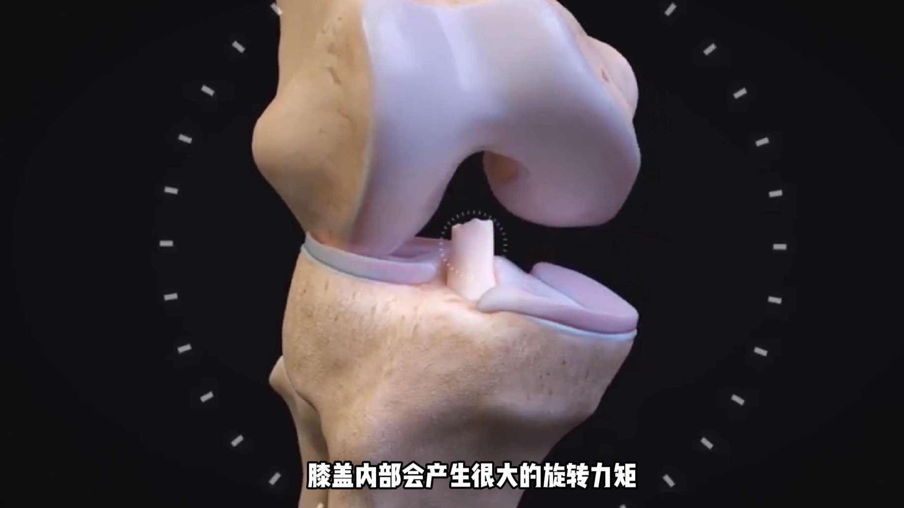 NASM切片｜有前交叉韧带损伤的舞者来看