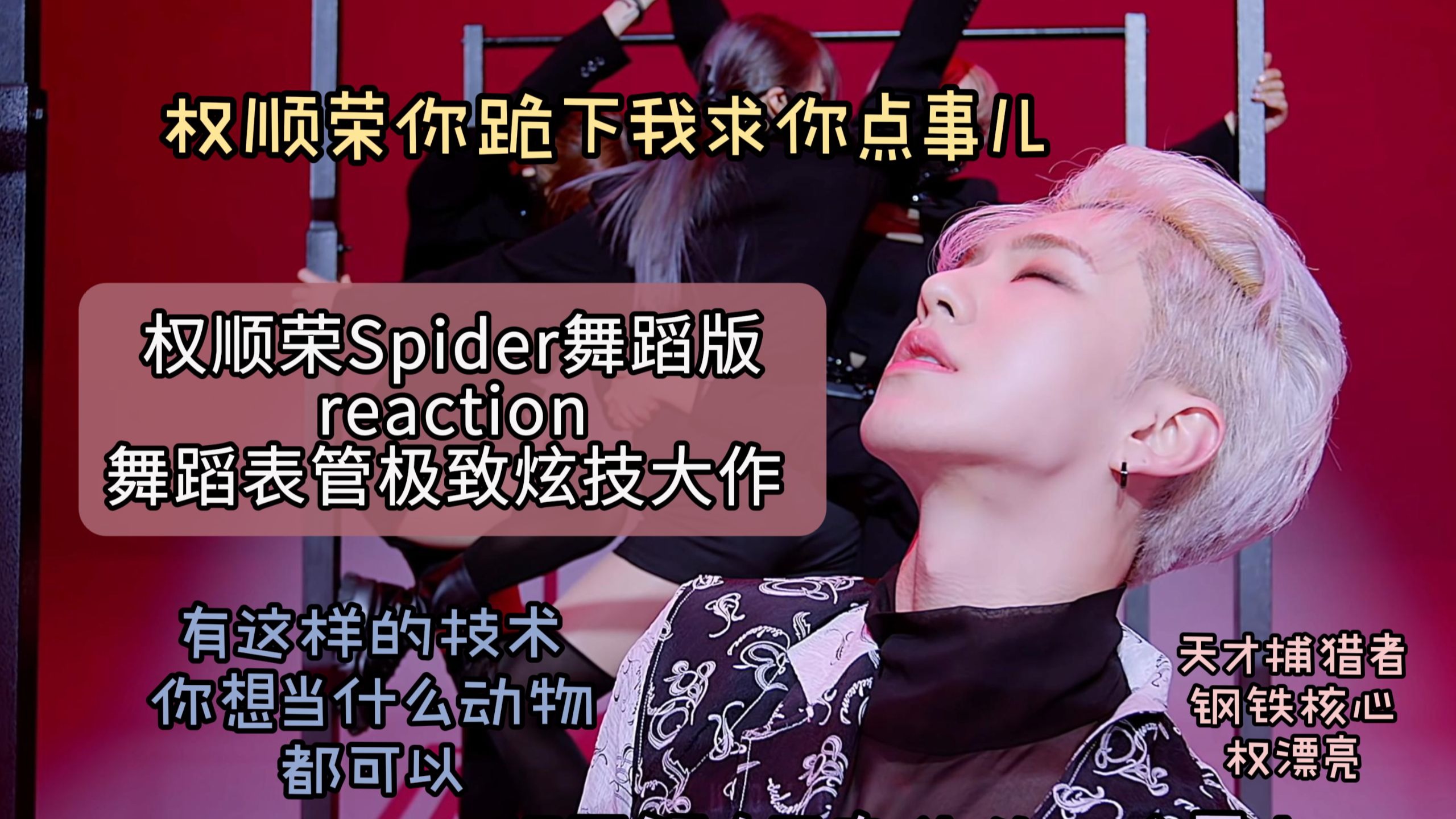 【权顺荣Hoshi-Spider】完美的捕猎者有最迷人的肢体和最冷静