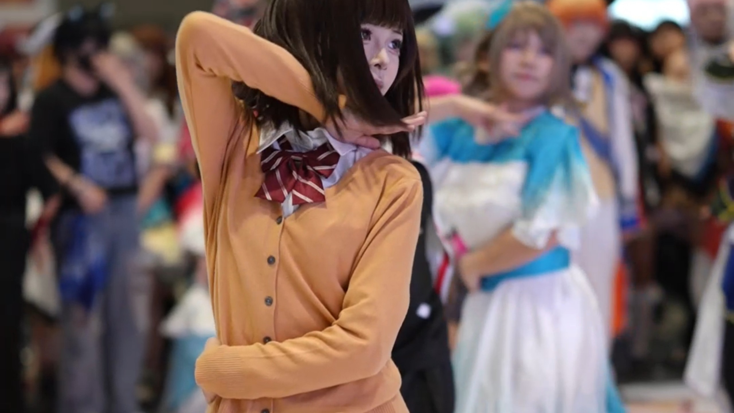 从『无人的世界』借来的猫