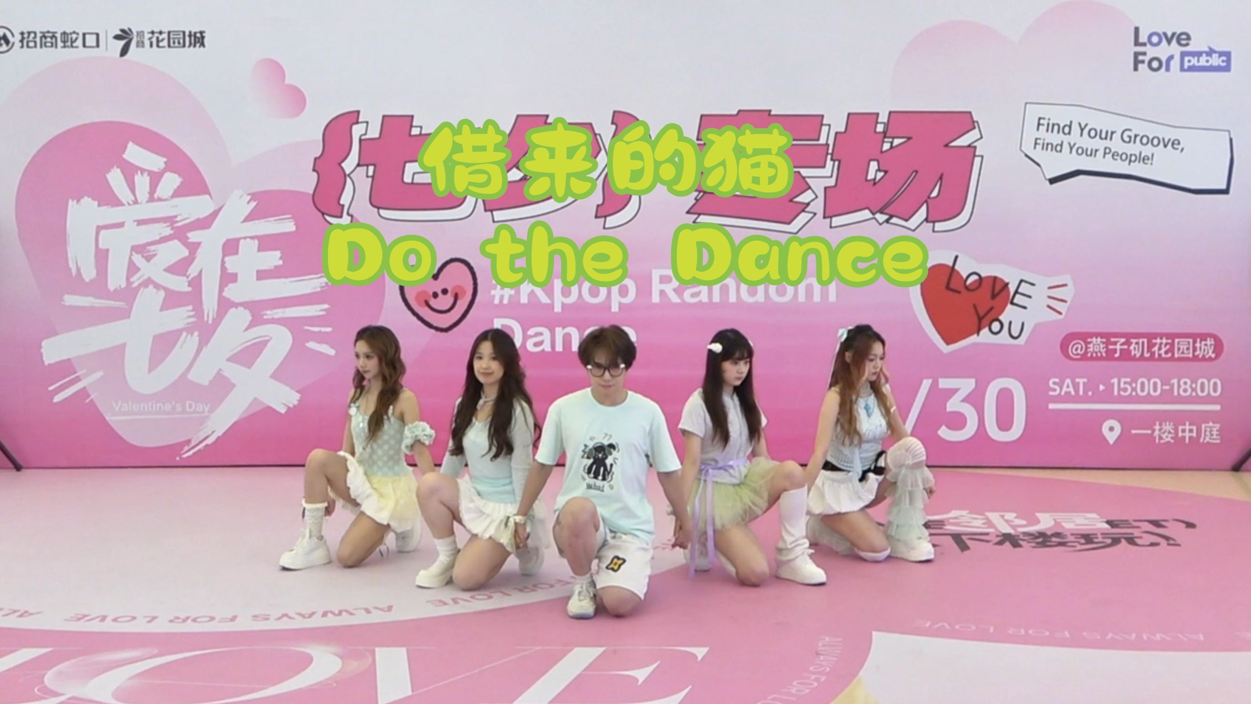 从北大借来的博士哥？史上最萌的五只薄荷小猫上线 Do the Danc