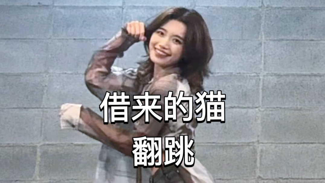 【ILLIT】借来的猫 (Do the Dance) 翻跳