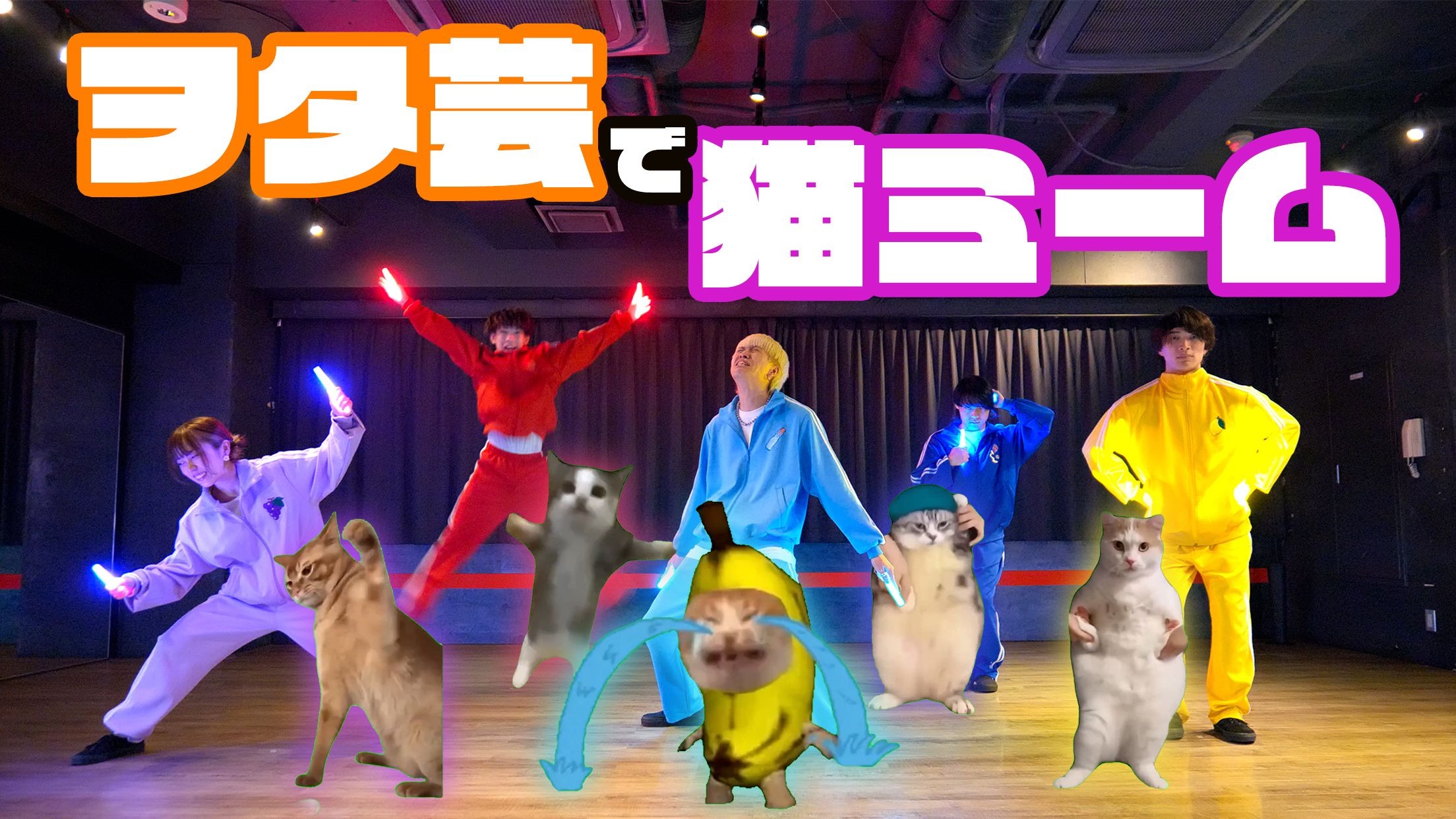 猫meme但是WOTA艺/荧光棒舞蹈【ゼロ打ち】