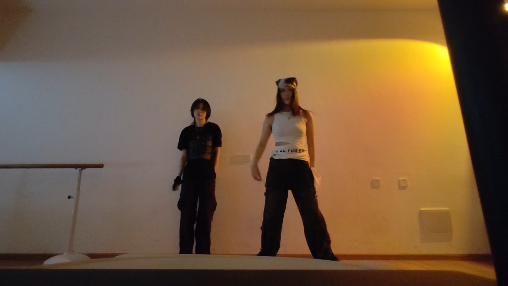 无奖竞猜：两个人平时在跳宅舞 or kpop？