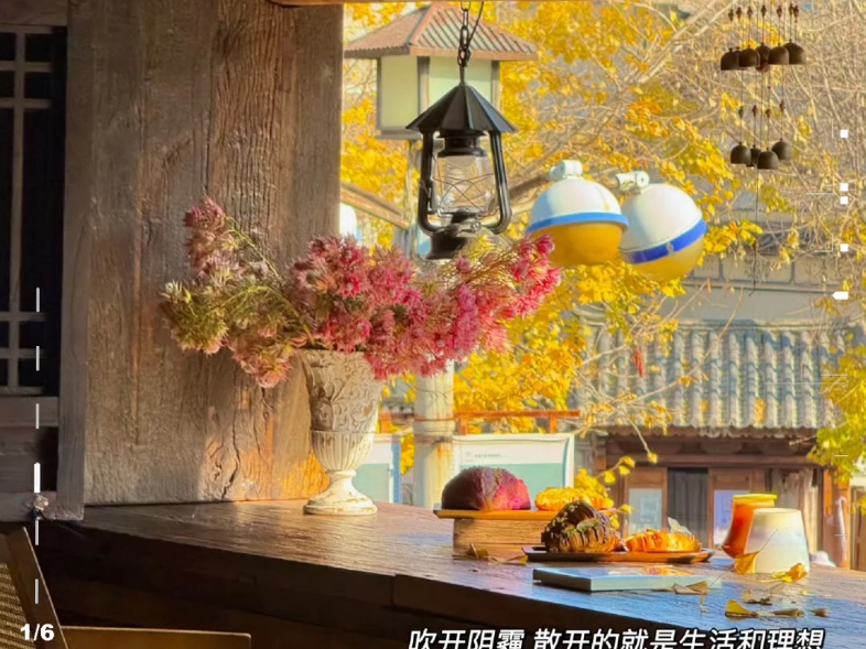红17179