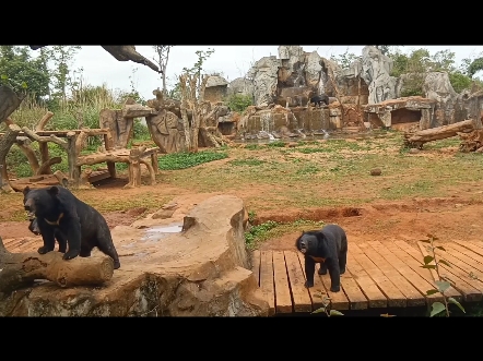 去年的海口动物园