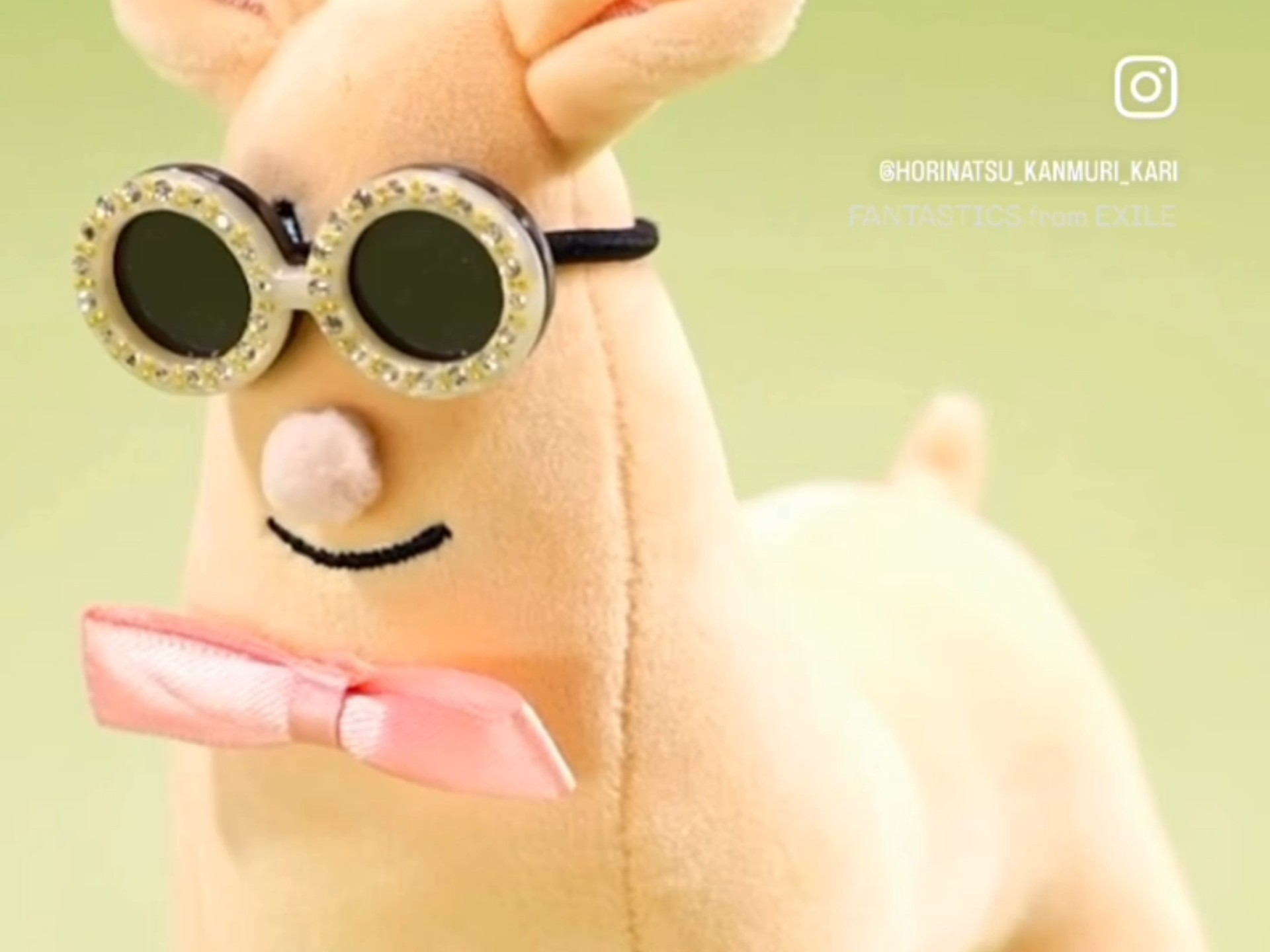 『堀夏喜冠番新谷解禁！』立体的堀羊驼太可爱了吧