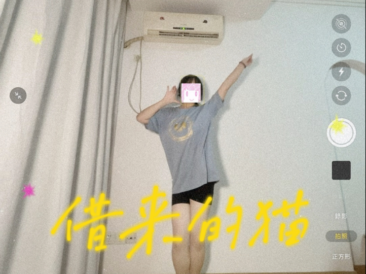 被挖路吵醒的十分鐘速扒借來的貓