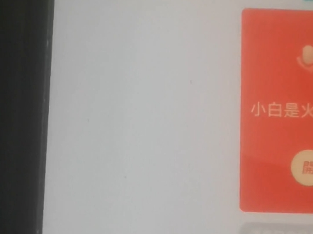 小白是火火的狗