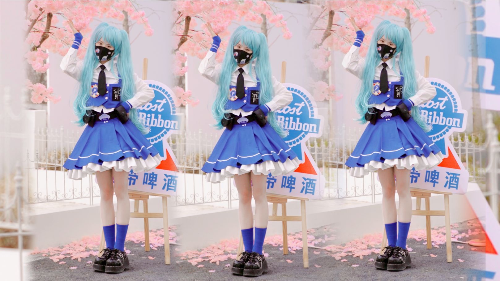 带你去看樱花