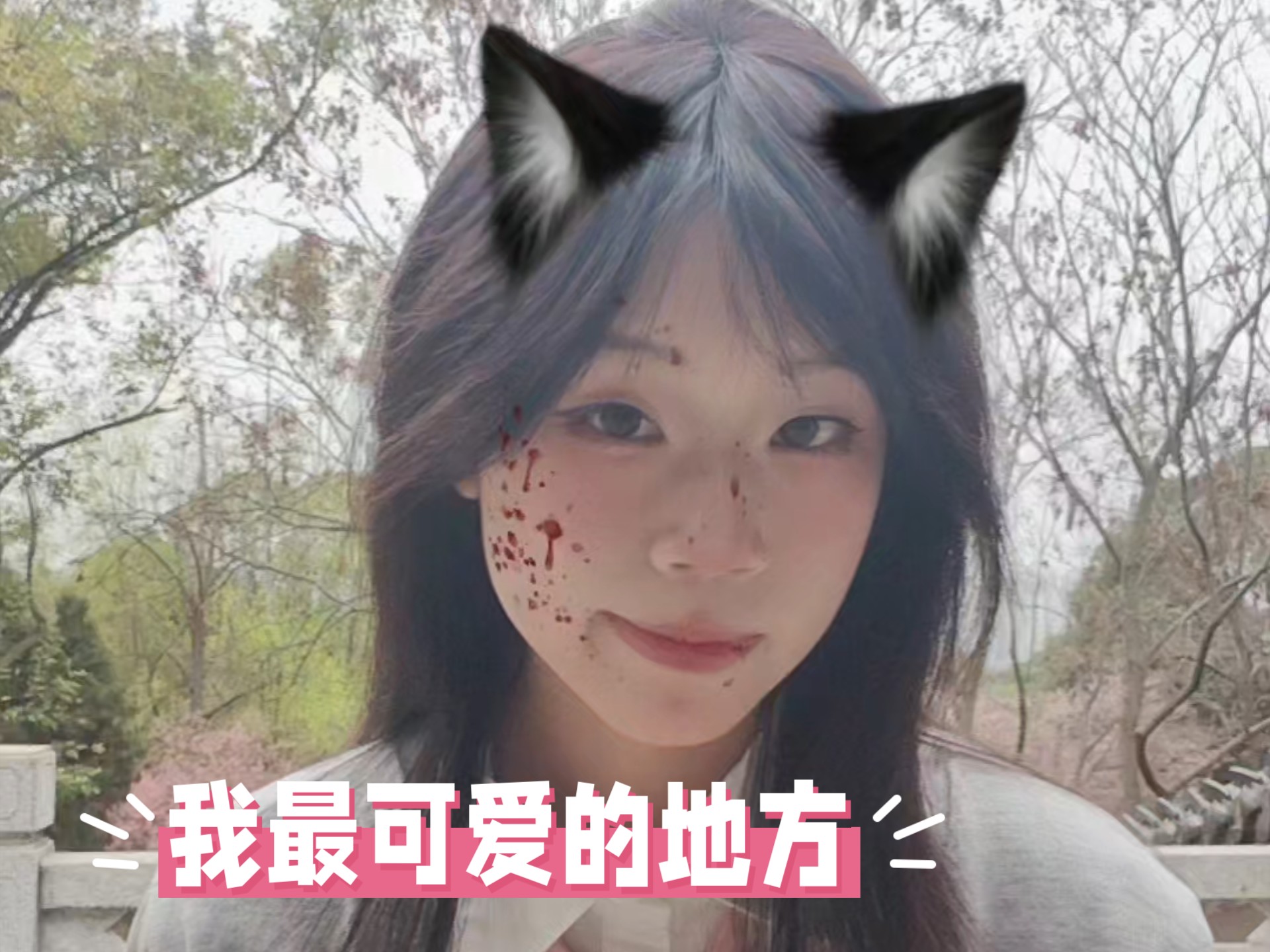 一旦被注视就会绷不住……●﹏●