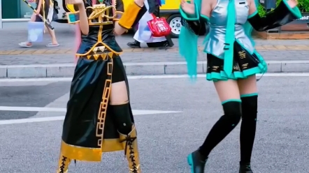 「鱼葱」向阳处的刹那