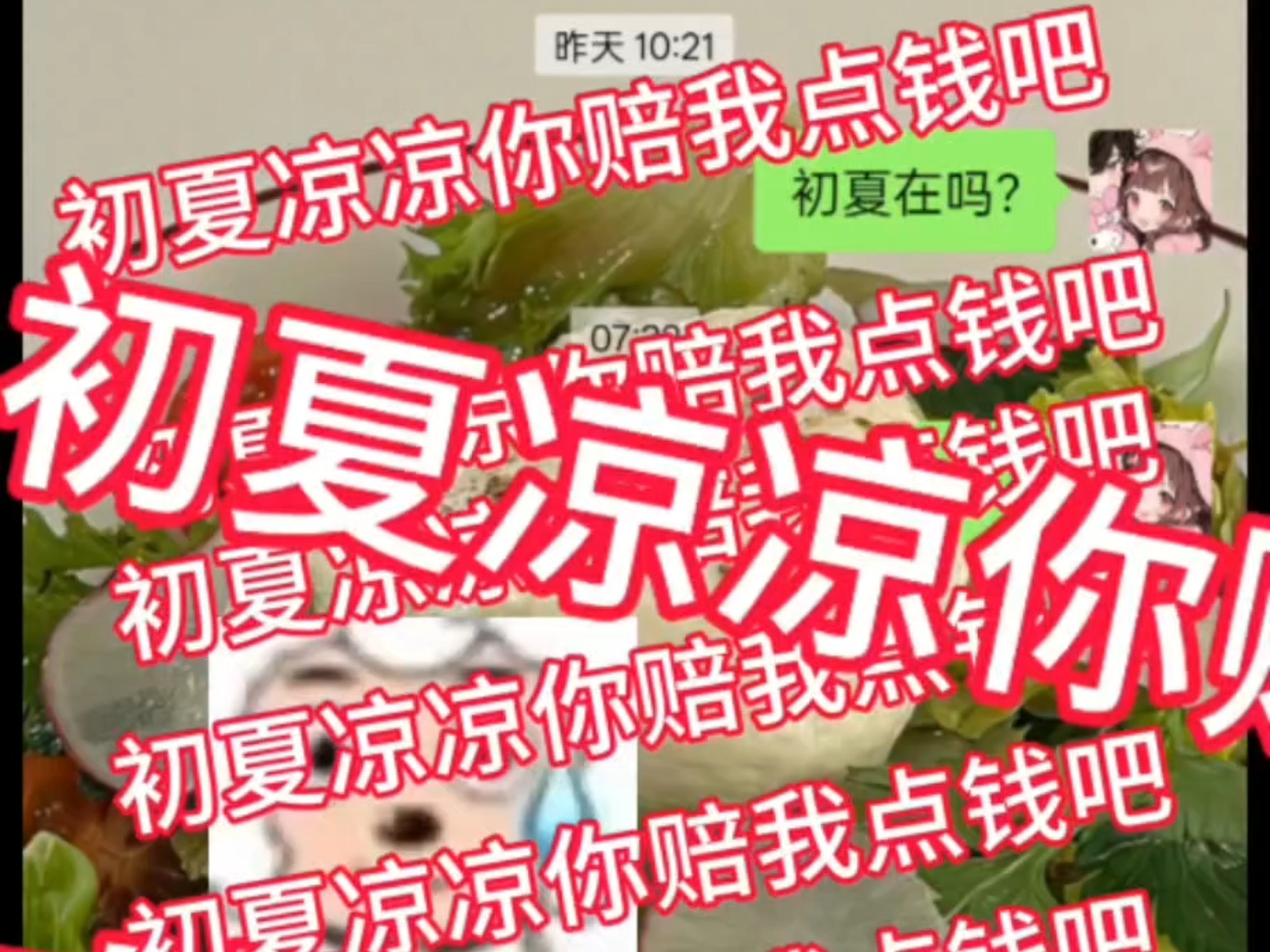 初夏凉凉cos定制避雷