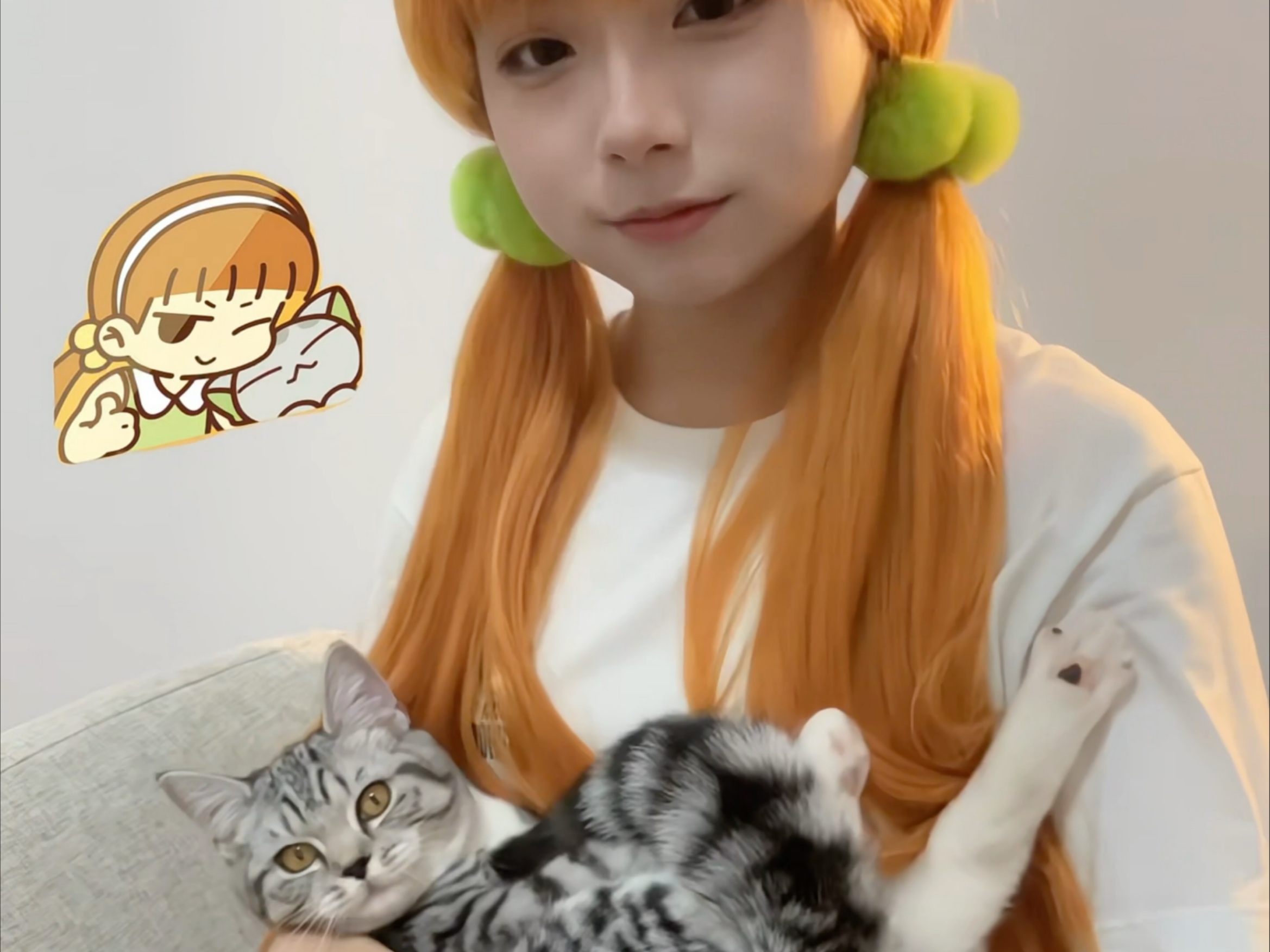 【罗小黑战记】只是山新在一脸贱贱地哄睡皇受