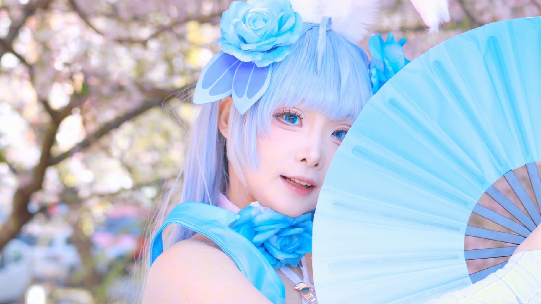 【咏春】春知晓 梦不觉 恰似你我当年