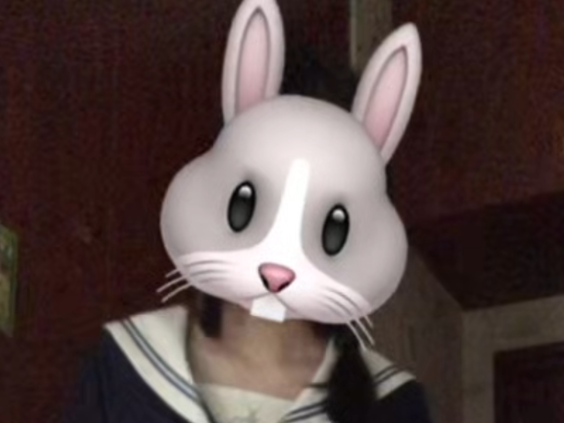 你们就羡慕我叭～