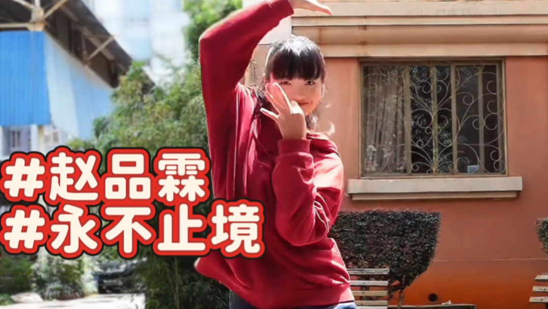 【琴酱】一个你没看过的赵品霖的《永不止境》翻跳