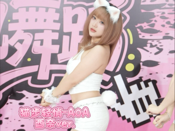 猫步轻悄-AOA｜谁家的布偶猫跑出来了速速认领