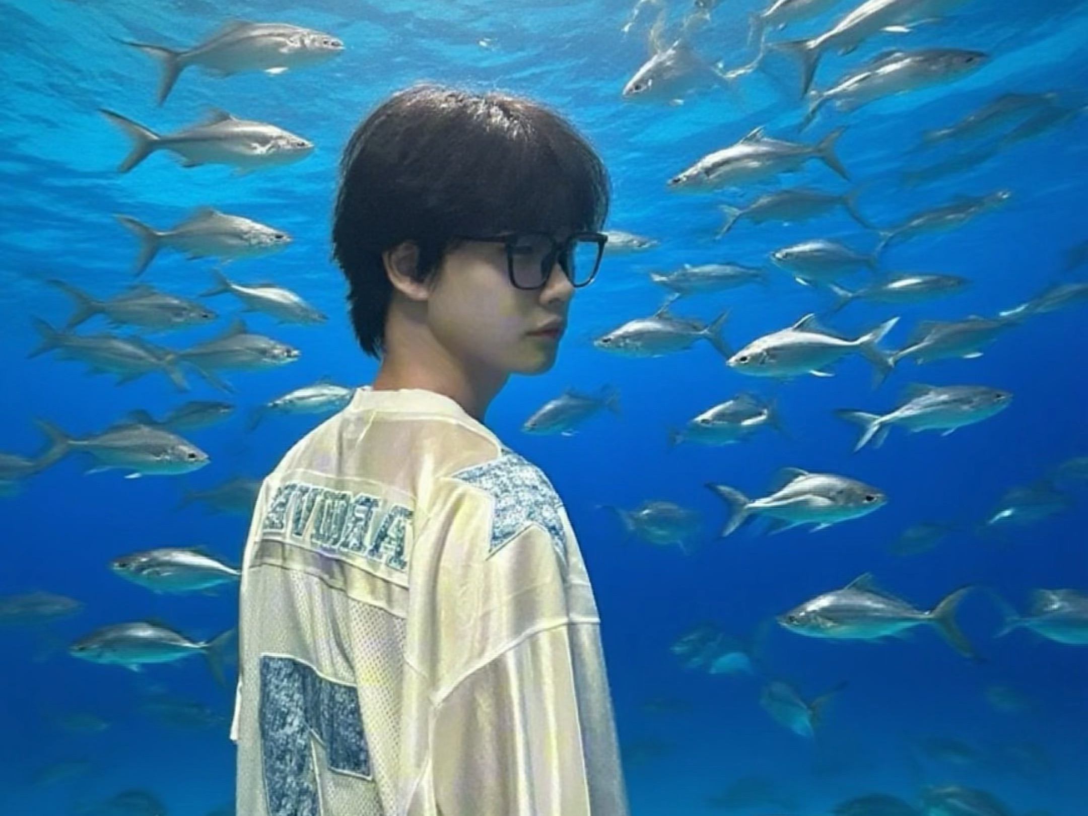 在我的梦里你好像一直都是常客