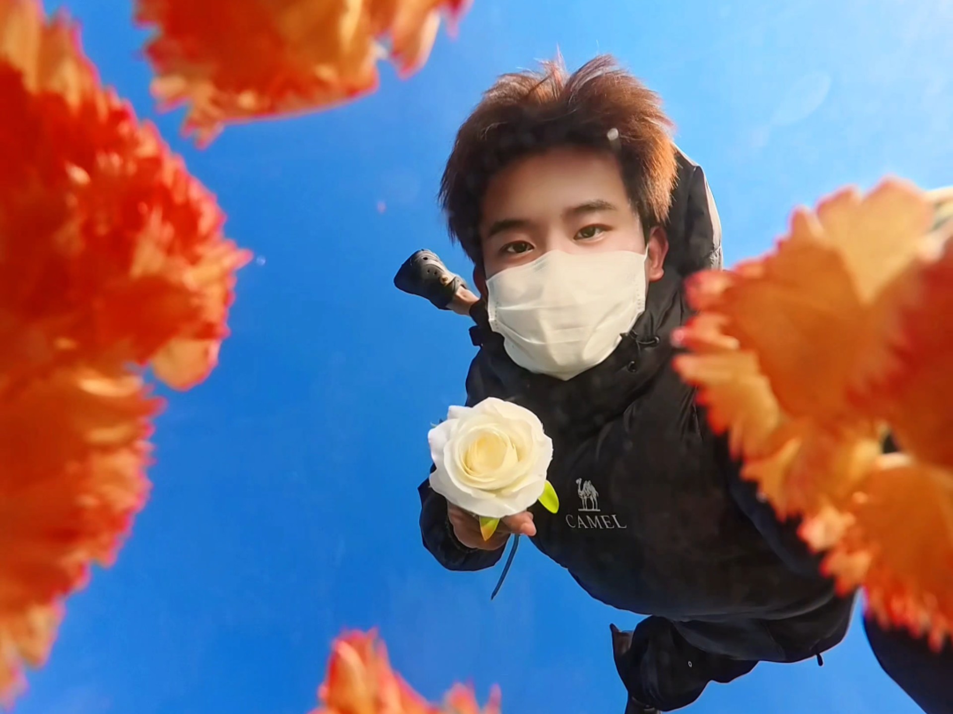 重复的话，藏着跨季的暖