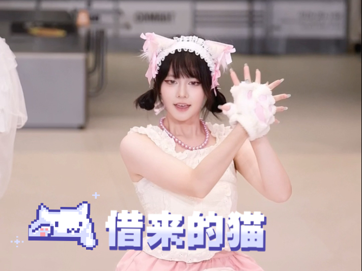 从土豆泥里借来的土豆猫《do the dance》minju位