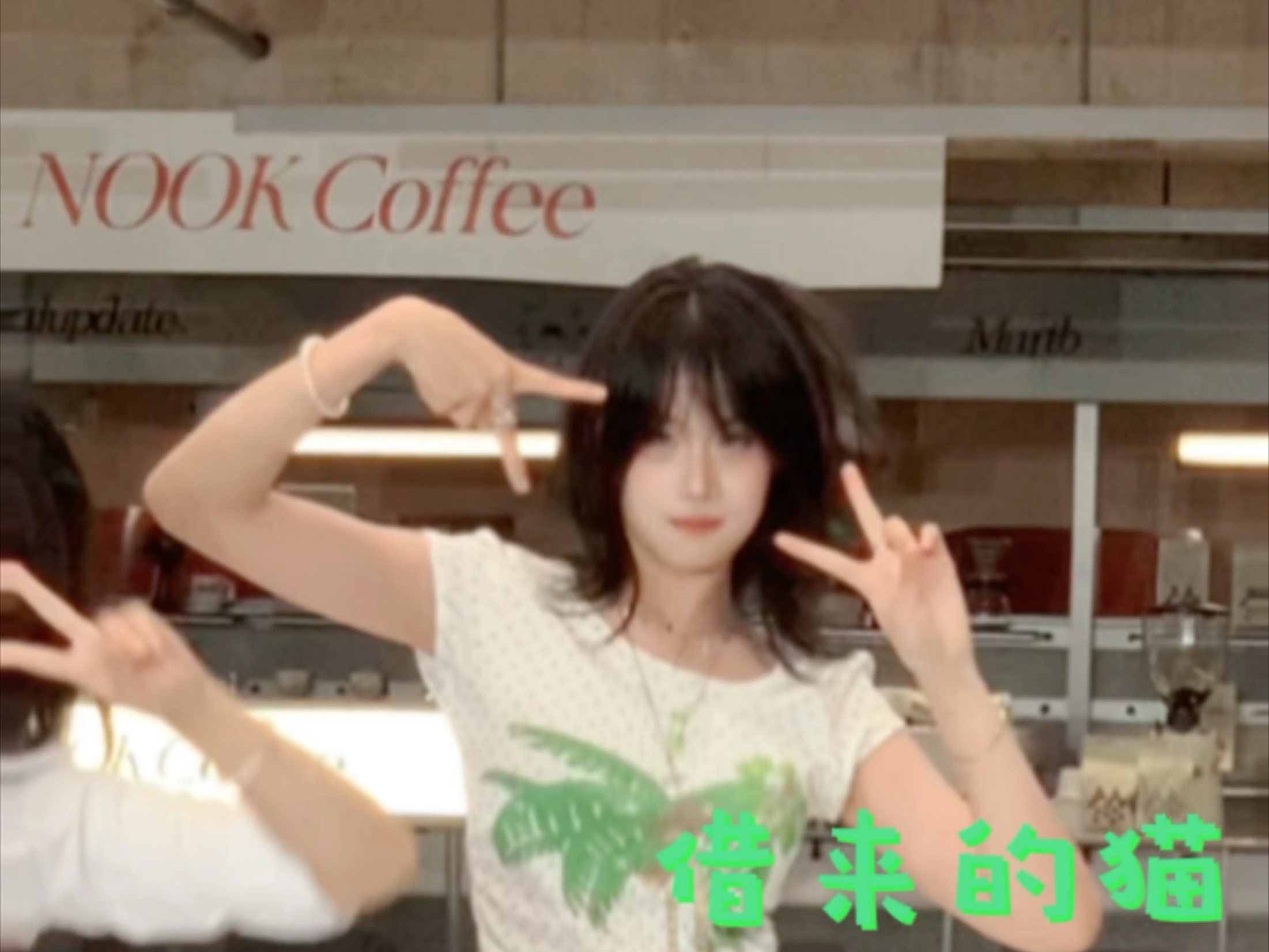 【250816 借来的猫】