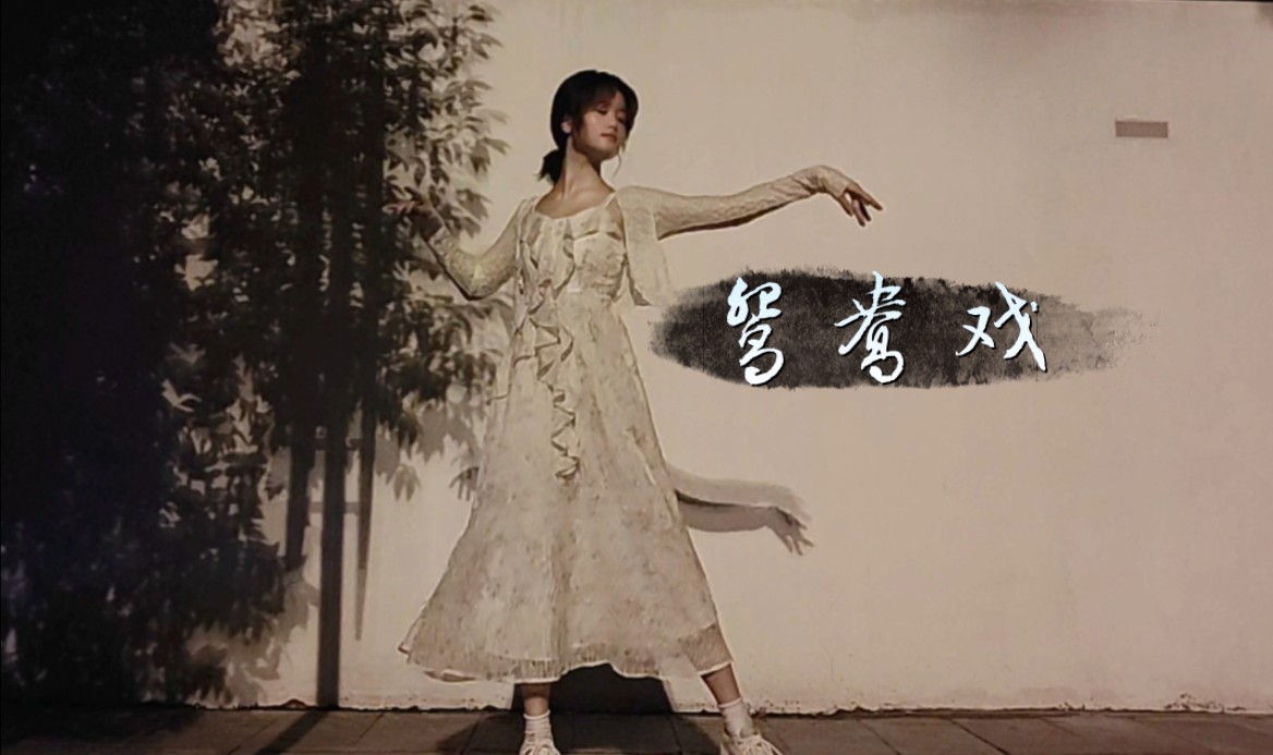 夜晚的鸳鸯戏更有韵味～