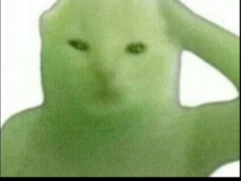 好久不見，容我喵几句