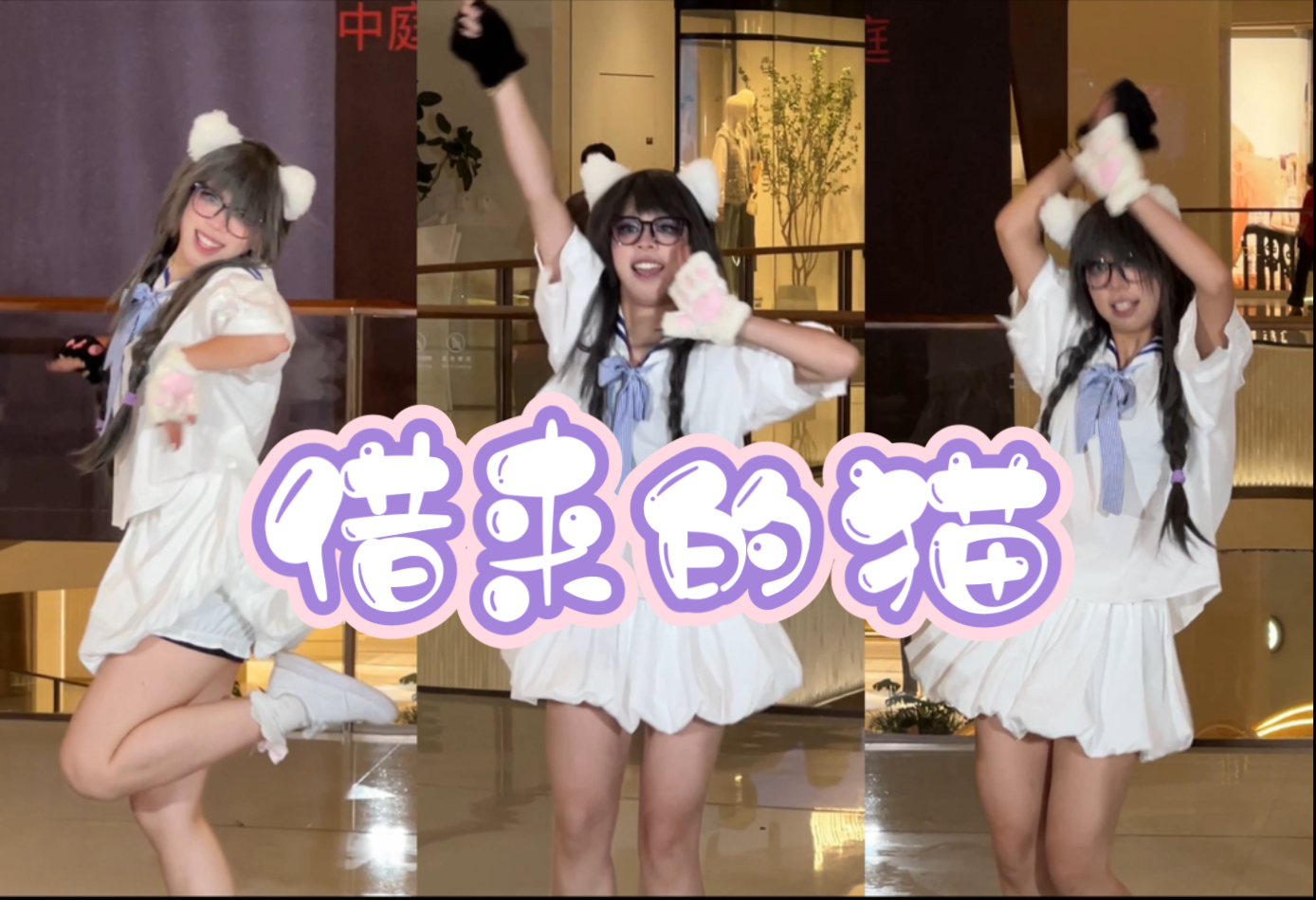 借来的一只元气小猫～