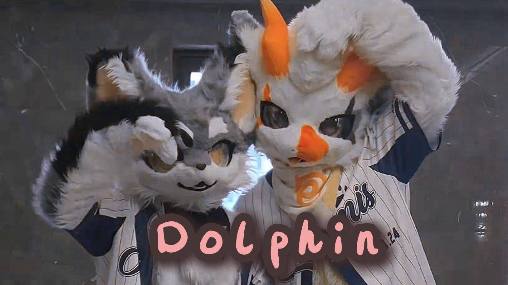 包包龙和莫洛宝~~