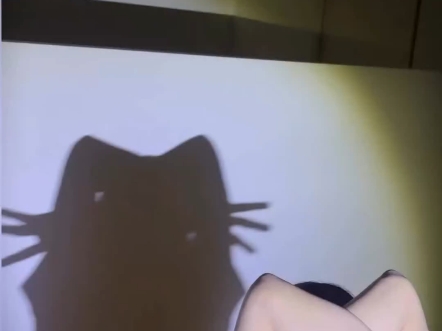 【BabyDONTCry】Guess the cat