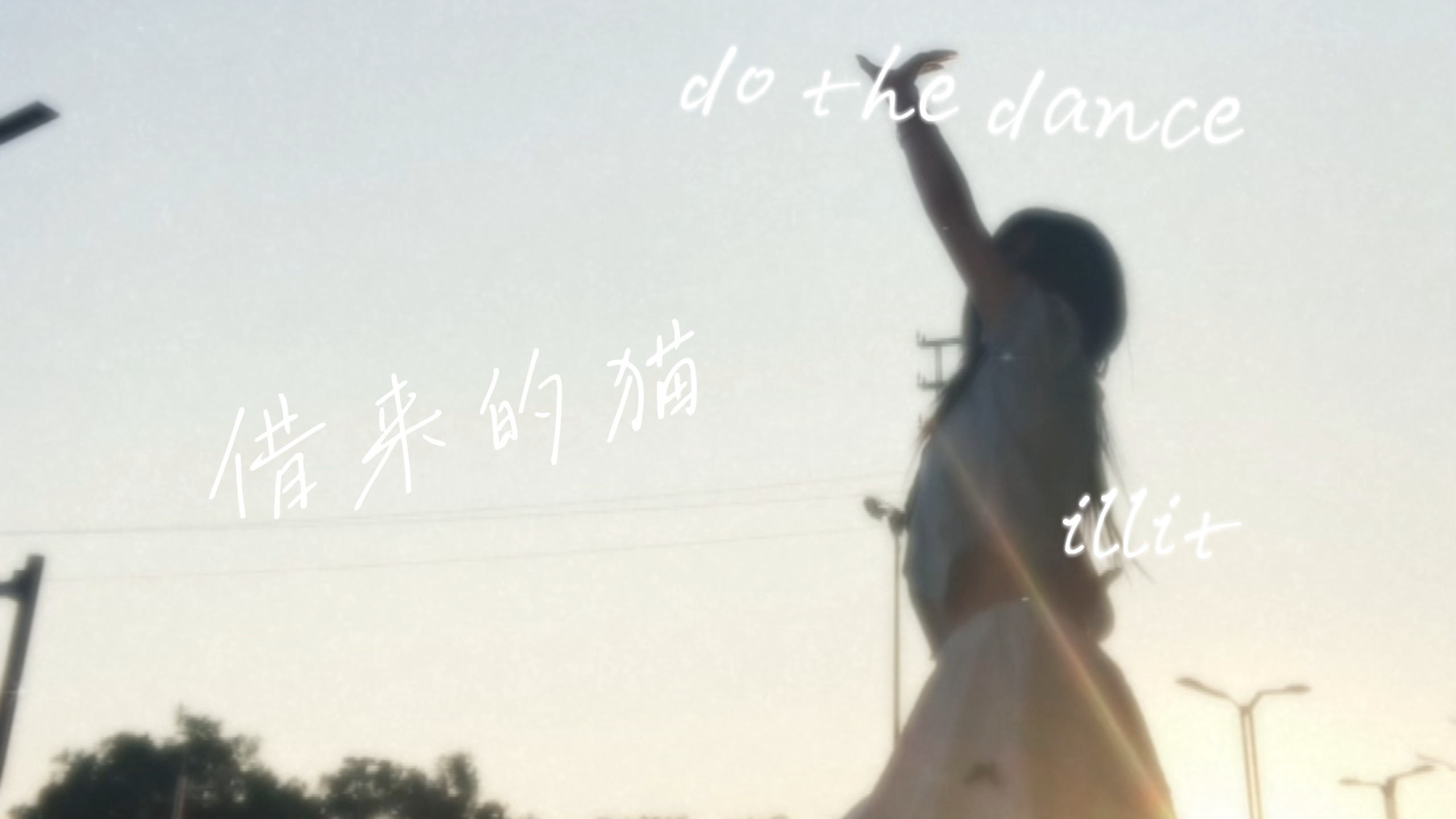 40度的一天回家落日录的借来的猫