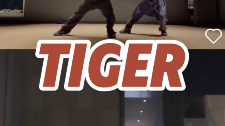 翻跳｜贤宇宙Tiger活动促进委员会