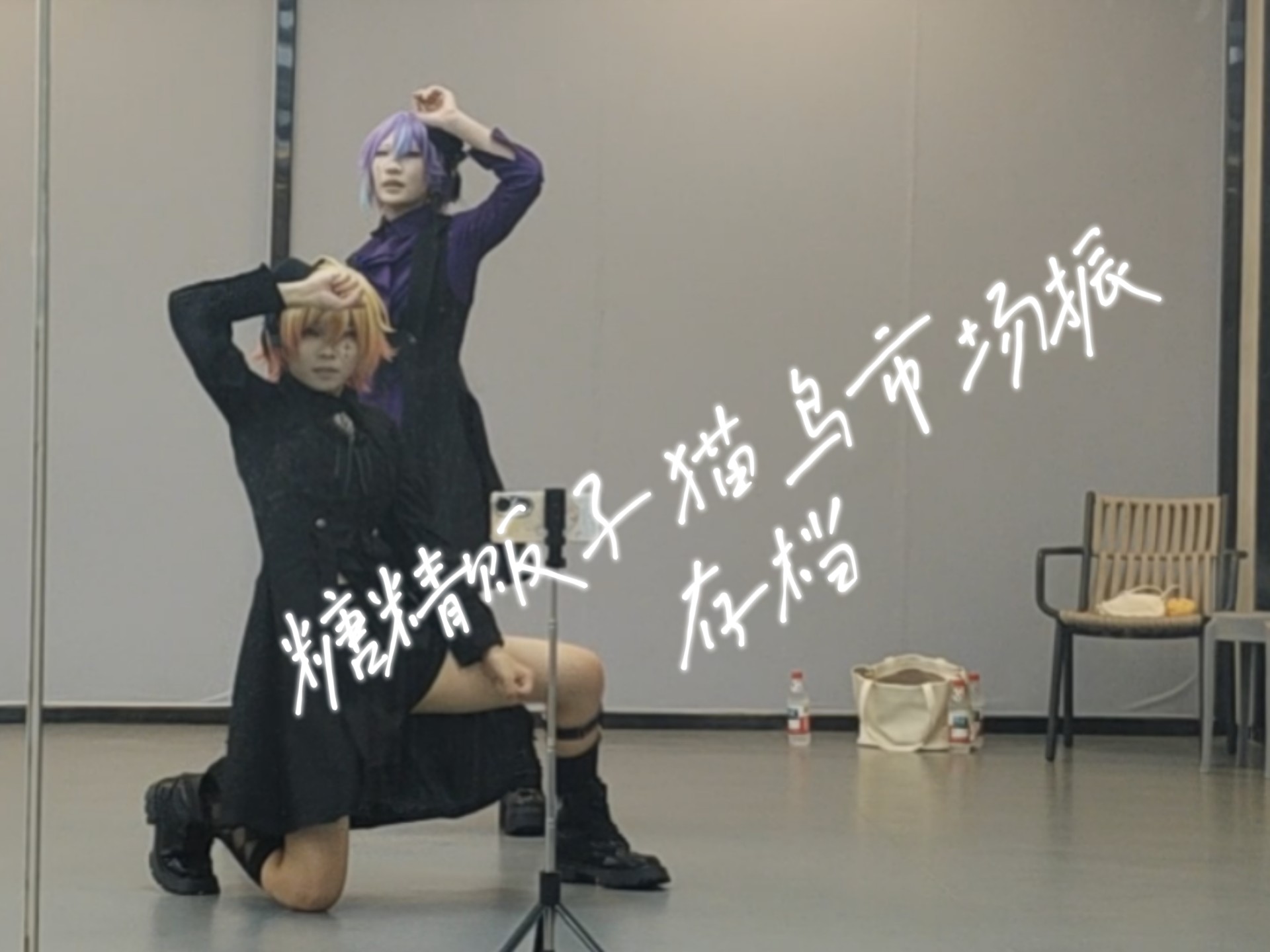 猫鸟市场糖精贩子存档