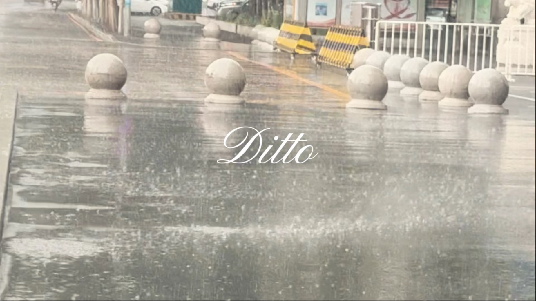 你们的瞳孔截停我心底的酸涩雨 《ditto》