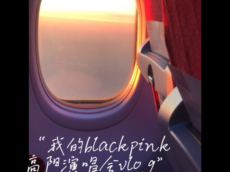 blackpink高阳演唱会vlog