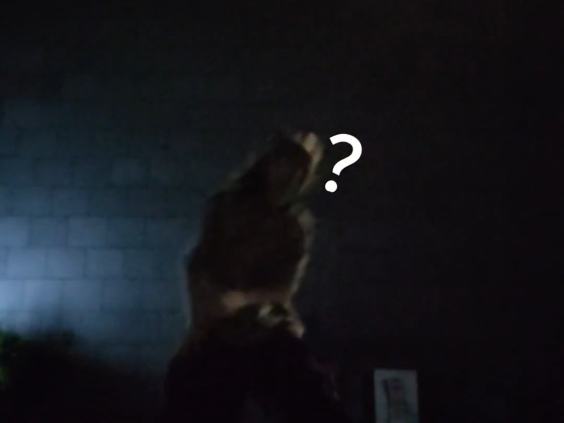 每天退步一点点