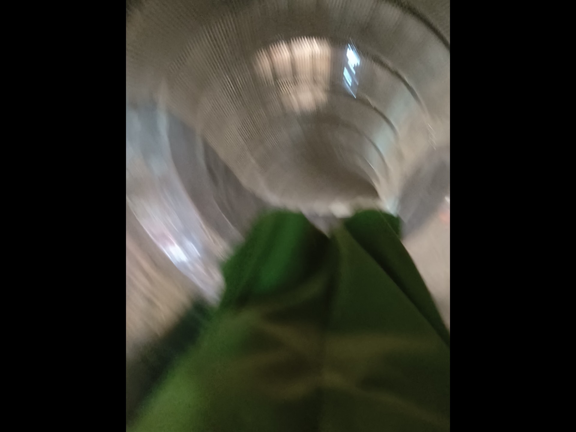 哦。是谁的头上长蘑菇了～