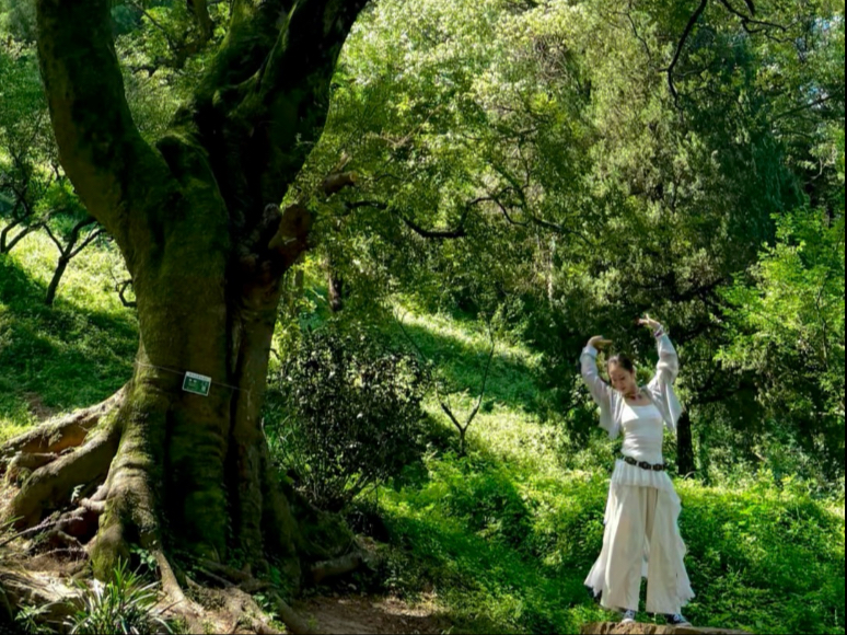 【Freestyle】与林共舞，树是我与自然的链接。