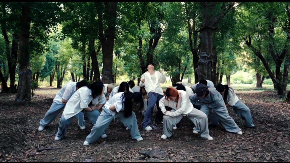 《ZEALUX》一群在树林寻找光的人儿——相信光，追寻光，然后成为