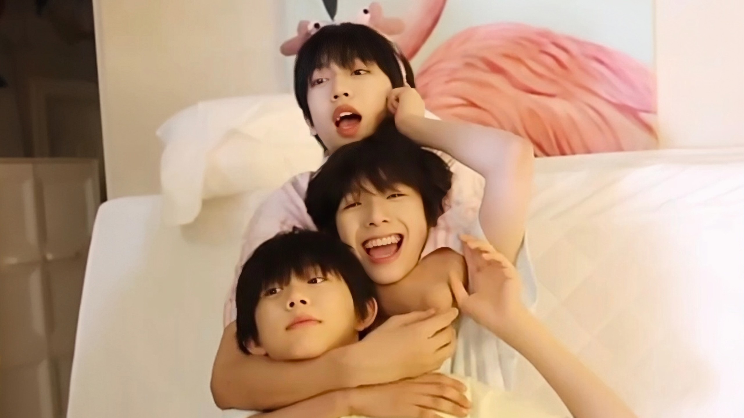 【张桂源&陈奕恒&陈浚铭】当金牛组遇上果宝特工