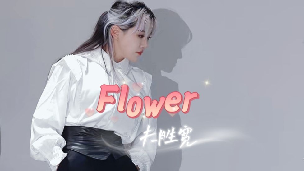 【Seventeen小分队】即使崴脚了也要稳稳站住～必须跳好flower