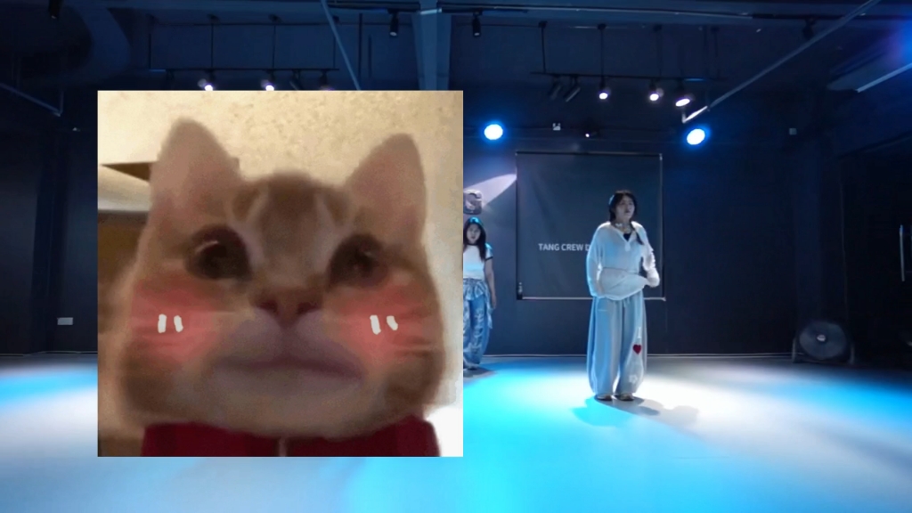 美美桑奈，嘚咕嘚咕咚咚