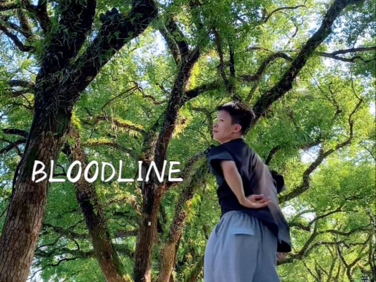 Bloodline welshykim编舞