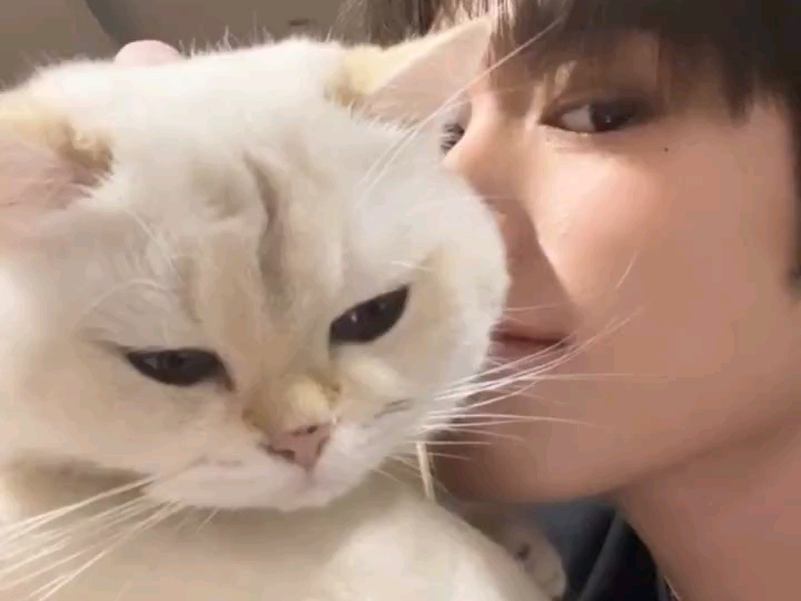 maxnat 好可爱的daisy