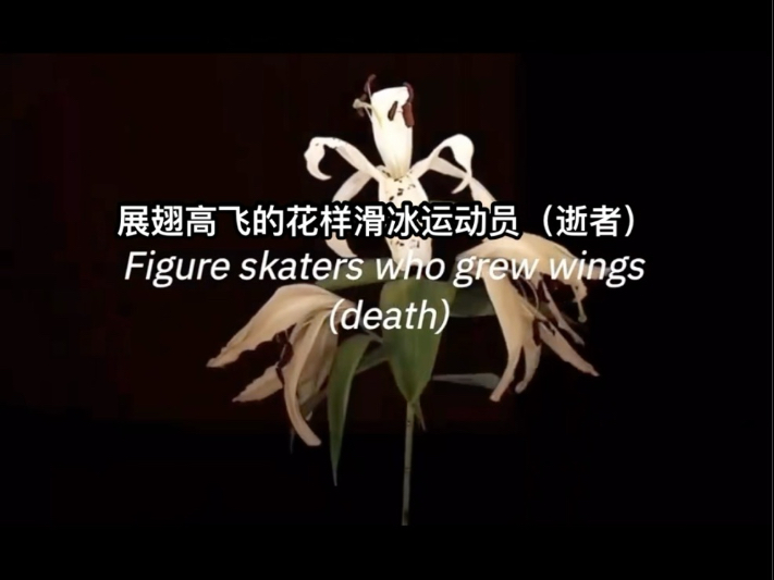 遗憾的是，这个名单还可以添加更多人。萨贝纳548航班和美国航