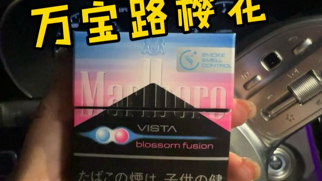 烟草与樱花的馥郁邂逅！！！高雅的品味质感！！万宝路樱花入门测评！！