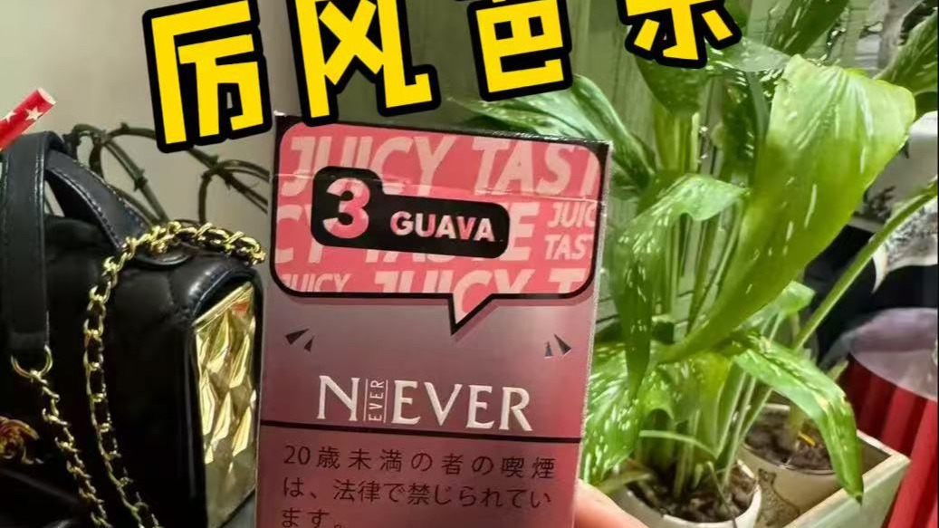 香甜的品味质感！！厉风芭乐入门爆珠测评！！经典烟草与甜蜜芭乐的邂